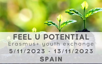 Erasmus+ Youth Exchange in Spain: FEEL U Potential