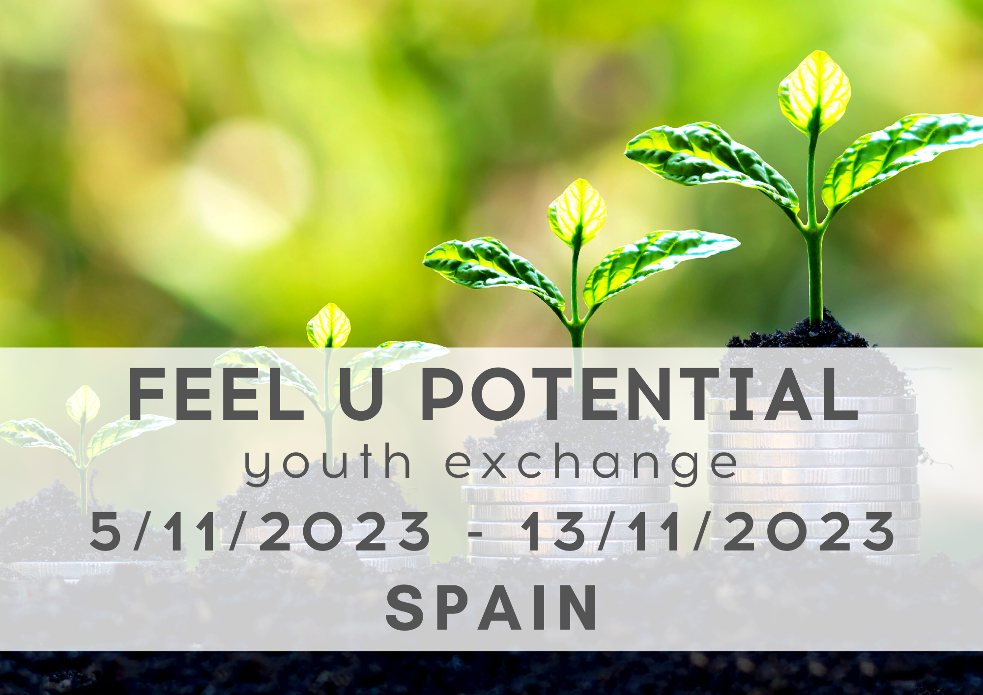 Erasmus+ Youth Exchange FEEL U POTENTIAL 5-13/11/2023, Spain